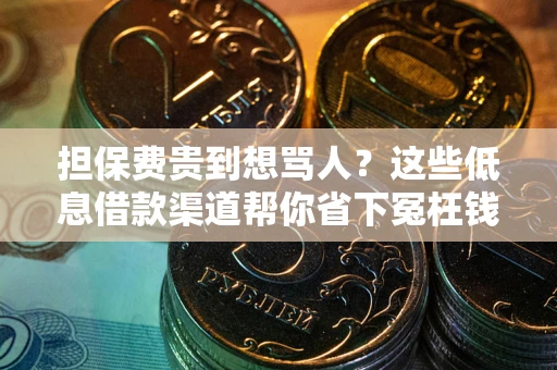 武汉担保费贵到想骂人？这些低息借款渠道帮你省下冤枉钱