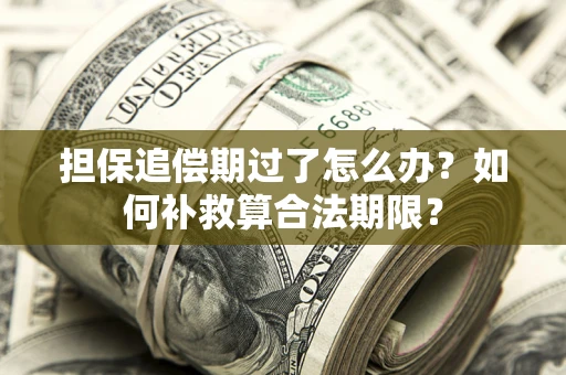 武汉担保追偿期过了怎么办？如何补救算合法期限？