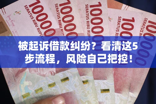 武汉被起诉借款纠纷？看清这5步流程，风险自己把控！
